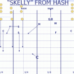 Skelly from Hash Drill - Trips only
